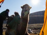 20190907-IMG 1463 : 2019, Mongolei, Mongolia