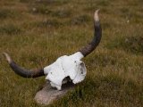 20190907-IMG 1471 : 2019, Mongolei, Mongolia