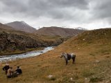 20190907-IMG 1476 : 2019, Mongolei, Mongolia