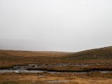20190907-IMG 1478 : 2019, Mongolei, Mongolia