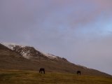 20190907-IMG 1486 : 2019, Mongolei, Mongolia