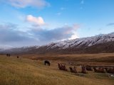 20190907-IMG 1487 : 2019, Mongolei, Mongolia