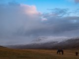 20190907-IMG 1489 : 2019, Mongolei, Mongolia