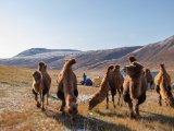 20190908-IMG 1526 : 2019, Mongolei, Mongolia