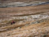 20190908-IMG 1538 : 2019, Mongolei, Mongolia