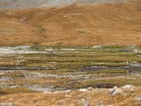 20190908-IMG 1613 : 2019, Mongolei, Mongolia