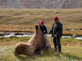 20190909-IMG 1629 : 2019, Mongolei, Mongolia