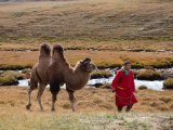 20190909-IMG 1630 : 2019, Mongolei, Mongolia