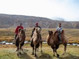 20190909-IMG 1632 : 2019, Mongolei, Mongolia