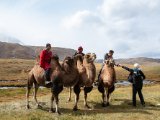 20190909-IMG 1634 : 2019, Mongolei, Mongolia