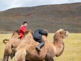 20190909-IMG 1638 : 2019, Mongolei, Mongolia