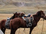 20190910-IMG 1644 : 2019, Mongolei, Mongolia