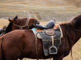 20190910-IMG 1646 : 2019, Mongolei, Mongolia