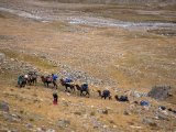 20190910-IMG 1651 : 2019, Mongolei, Mongolia