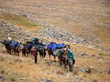 20190910-IMG 1652 : 2019, Mongolei, Mongolia