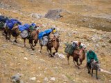 20190910-IMG 1653 : 2019, Mongolei, Mongolia