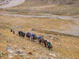 20190910-IMG 1654 : 2019, Mongolei, Mongolia