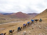 20190910-IMG 1658 : 2019, Mongolei, Mongolia
