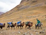 20190910-IMG 1660 : 2019, Mongolei, Mongolia