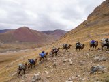 20190910-IMG 1661 : 2019, Mongolei, Mongolia