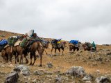 20190910-IMG 1667 : 2019, Mongolei, Mongolia