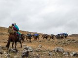 20190910-IMG 1668 : 2019, Mongolei, Mongolia