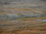 20190910-IMG 1677 : 2019, Mongolei, Mongolia