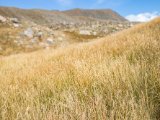 20190911-IMG 1726 : 2019, Mongolei, Mongolia
