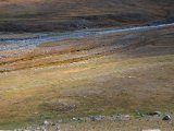 20190911-IMG 1757 : 2019, Mongolei, Mongolia