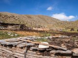 20190911-IMG 1781 : 2019, Mongolei, Mongolia