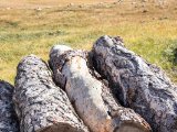 20190911-IMG 1782 : 2019, Mongolei, Mongolia