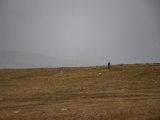 20190911-IMG 1796 : 2019, Mongolei, Mongolia