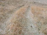 20190911-IMG 1802 : 2019, Mongolei, Mongolia
