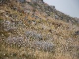 20190911-IMG 1807 : 2019, Mongolei, Mongolia