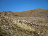 20190911-IMG 1839 : 2019, Mongolei, Mongolia