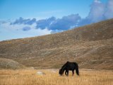 20190911-IMG 1840 : 2019, Mongolei, Mongolia