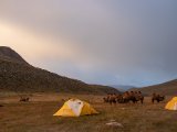 20190911-IMG 1847 : 2019, Mongolei, Mongolia