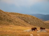 20190911-IMG 1869 : 2019, Mongolei, Mongolia