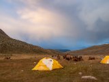 20190911-IMG 1874 : 2019, Mongolei, Mongolia