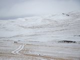 20190912-IMG 1899 : 2019, Mongolei, Mongolia