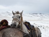 20190912-IMG 1916 : 2019, Mongolei, Mongolia