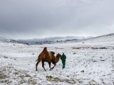 20190912-IMG 1918 : 2019, Mongolei, Mongolia