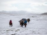 20190912-IMG 1919 : 2019, Mongolei, Mongolia