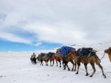20190912-IMG 1921 : 2019, Mongolei, Mongolia