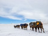 20190912-IMG 1922 : 2019, Mongolei, Mongolia