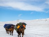 20190912-IMG 1924 : 2019, Mongolei, Mongolia