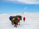 20190912-IMG 1925 : 2019, Mongolei, Mongolia