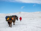 20190912-IMG 1926 : 2019, Mongolei, Mongolia