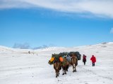 20190912-IMG 1927 : 2019, Mongolei, Mongolia
