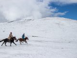 20190912-IMG 1929 : 2019, Mongolei, Mongolia